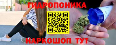 гидра Славгород