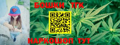 гидра Славгород