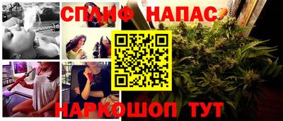 гидра Славгород