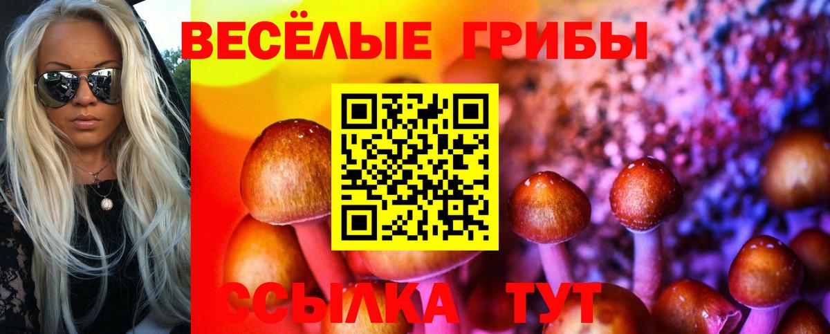 Орёл  Псилоцибиновые грибы Psilocybe  Вход с VPN 
